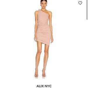 Alix NYC Celeste Mini Dress